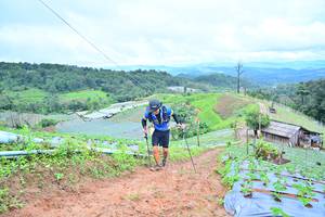 BIB: 
                            <button type="button" onclick="openModal(13378840)" class="btn btn-primary btn-sm float-right btn-popup" data-toggle="modal" data-target=".modal-high-quality">
                        <i class="fas fa-shopping-cart"></i> Add to Cart
                    </button>
                                            <button type="button" onclick="isThisMe(13378840, true)" class="btn btn-success btn-sm float-right btn-popup btn-isme hidden" data-toggle="tooltip" data-placement="bottom" title="นี่คือรูปของคุณใช่ไหม คลิกที่นี่เพื่อเอาเข้าอัลบั้ม">
                        <i class="fas fa-plus"></i> Add to album
                    </button>
                    <button type="button" onclick="isThisMe(13378840, false)" class="btn btn-warning btn-sm float-right btn-popup btn-isnotme hidden">
                        <i class="fas fa-ban"></i> Remove from album
                    </button>